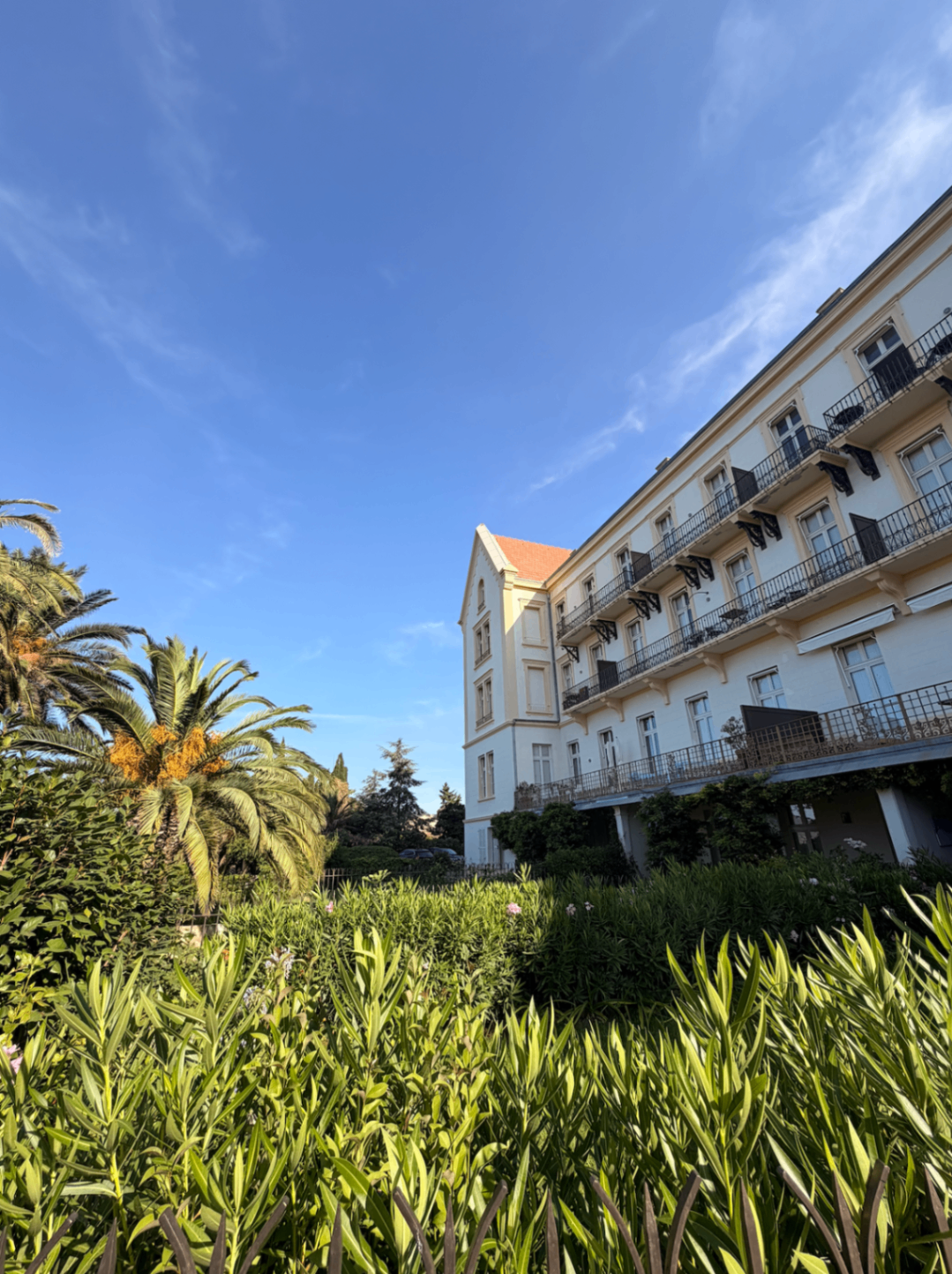 Historic Kensington facade rising above lush Mediterranean planting