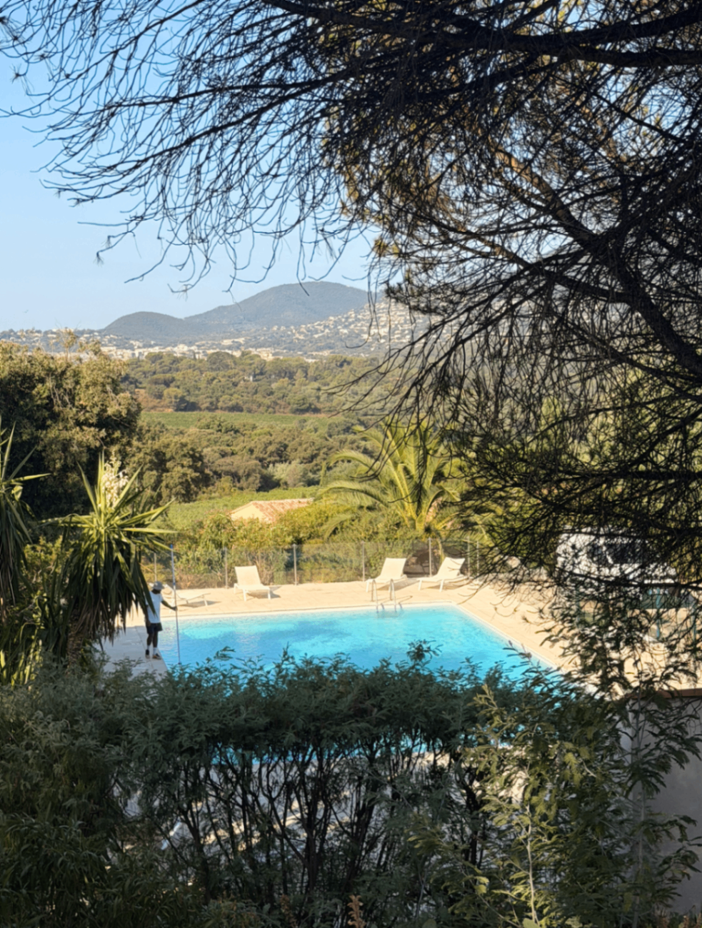 Pool framed by trees with vineyard and hillside views beyond