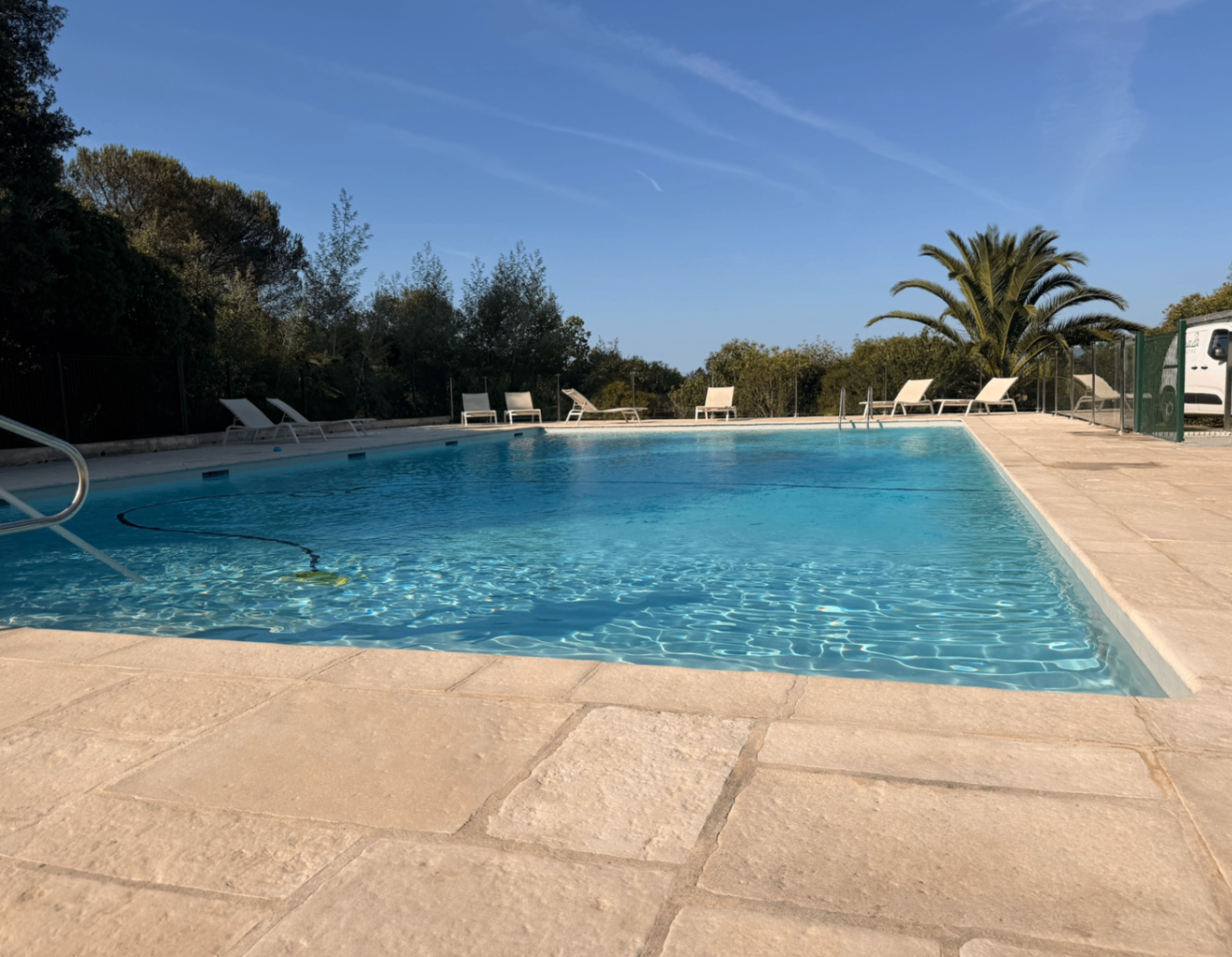 Large heated pool at the Kensington residence, surrounded by palms and loungers
