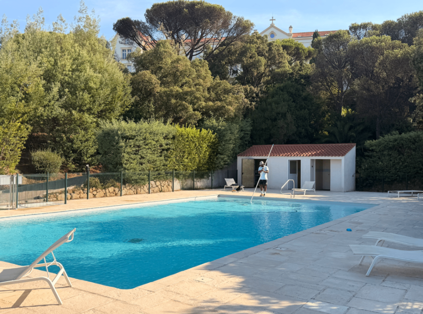 Large sunlit pool below the residence with umbrella pines above
